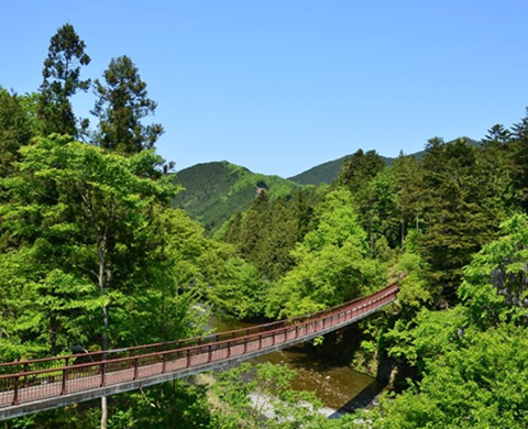 秋川渓谷の画像