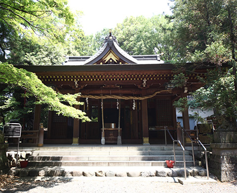 阿蘇神社の画像