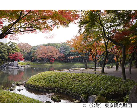 小石川後楽園の画像