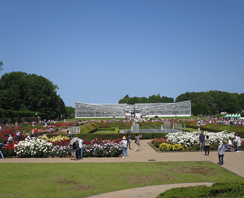 神代植物公園（じんだいしょくぶつこうえん）の画像