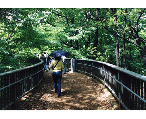 浅間山（都立浅間山公園）の画像