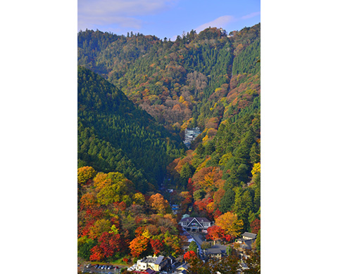 高尾山（たかおさん）の画像