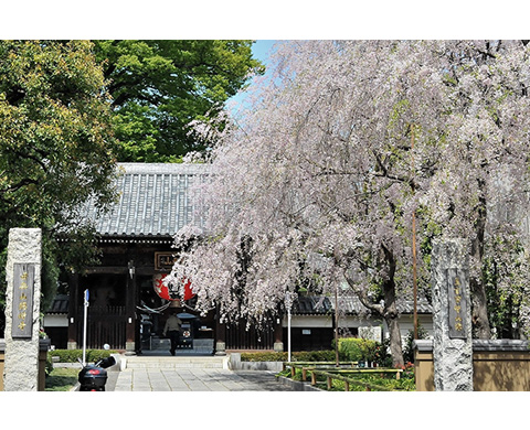 田無山総持寺の画像