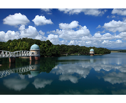 多摩湖（村山貯水池）の画像