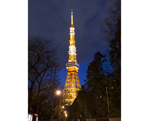 東京タワーの画像