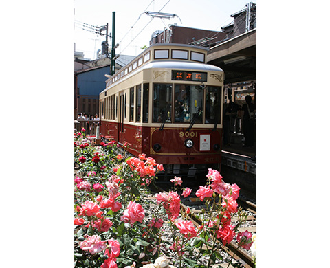 東京さくらトラム（都電荒川線）の画像