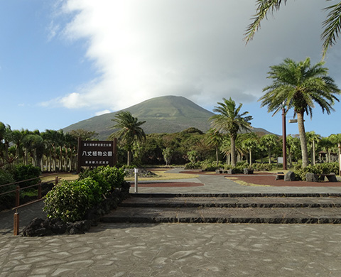 八丈植物公園の画像