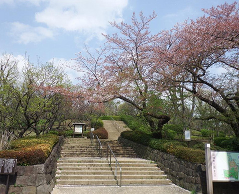 羽根木公園の画像