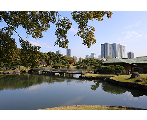 浜離宮恩賜庭園の画像