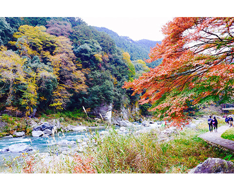 御岳渓谷の画像