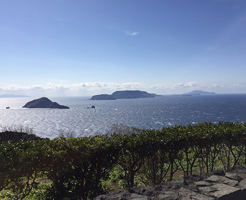 南ヶ山園地の画像