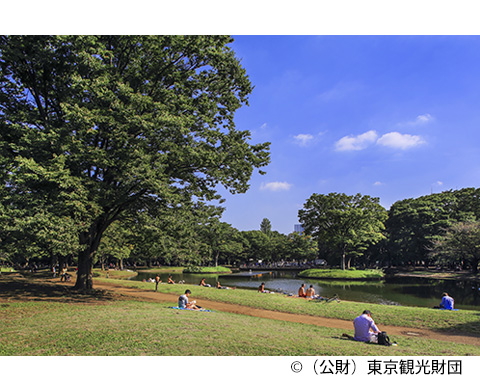 代々木公園（よよぎこうえん）の画像