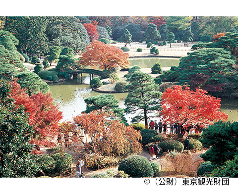 六義園の画像