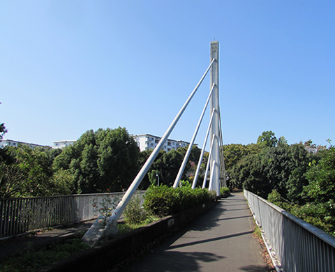 全長41㎞の遊歩道の画像