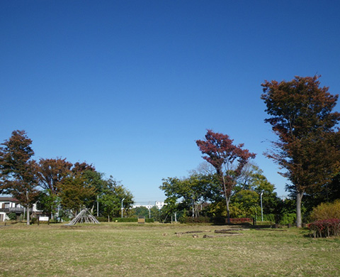 下野谷遺跡の画像