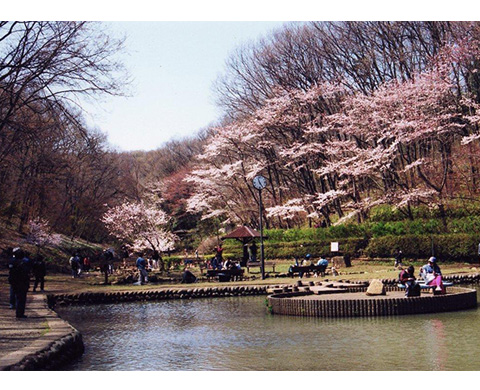 野山北公園の画像