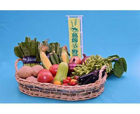 とれたてイキイキ葛飾元気野菜の画像