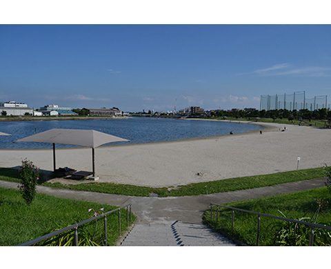 大森ふるさとの浜辺公園の画像