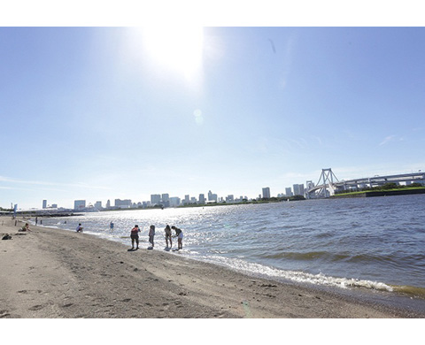 お台場海浜公園の画像