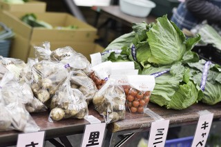 とれたてイキイキ葛飾元気野菜