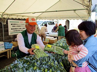 のらぼう菜