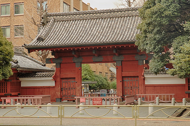 赤門（本郷通り側）