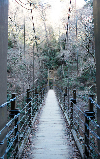 高尾山頂