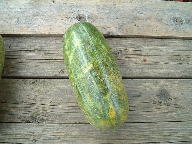 江戸東京野菜