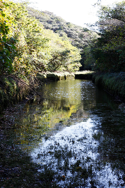 大池