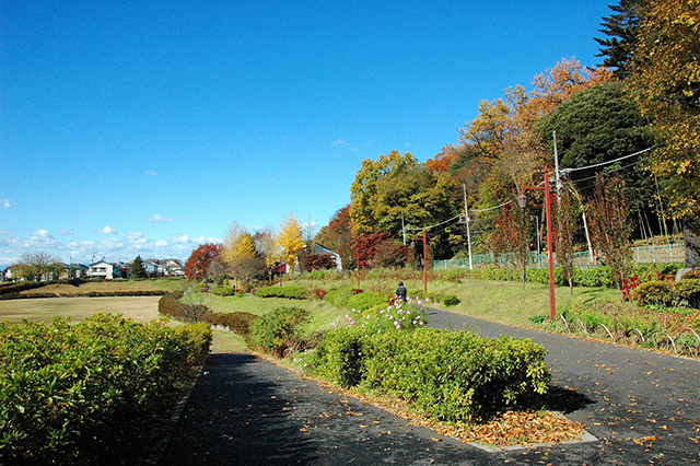 武蔵野公園